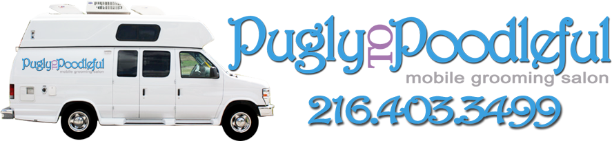 Pugly To Poodleful - Lisa's Mobile Grooming Service